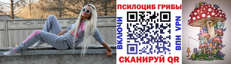 Галлюциногенные грибы Psilocybine cubensis  Бугульма 