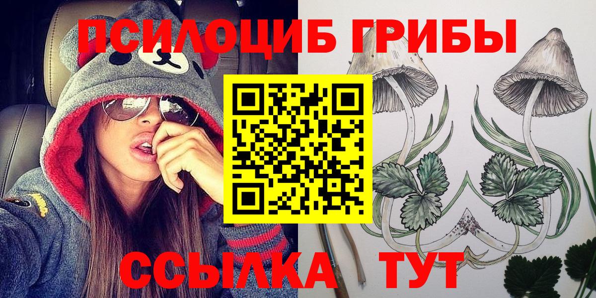 Галлюциногенные грибы Psilocybine cubensis  Бугульма 