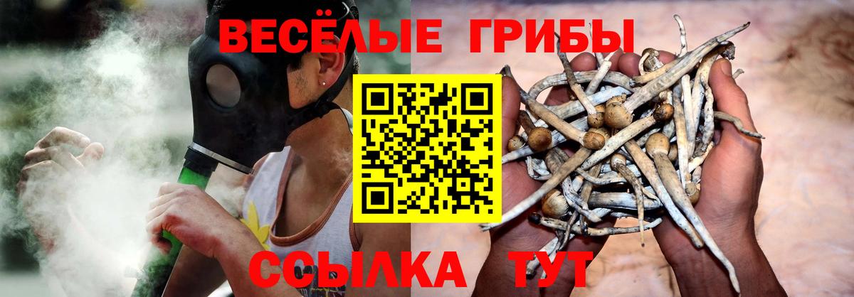 Бугульма  Галлюциногенные грибы Psilocybe  купить  цена  Вход с VPN 